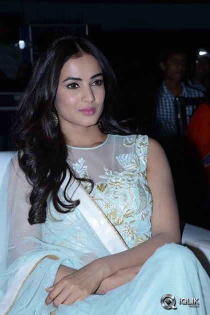 Pandaga-Chesko-Movie-Audio-Launch